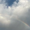 ゆき