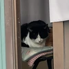 ぴぃ
