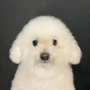 くまたろう
