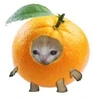 OrangeCat