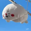 犬猫ハムスター鍋