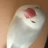 でんちゃん