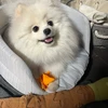 とも