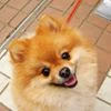 春山宏樹