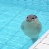 3349