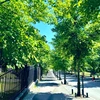 ラッシー