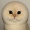 おいあのさー...あのね