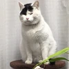 ひろき