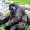メソポタポタ文明