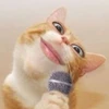 みーちゃむ