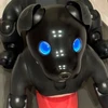 むぎ君