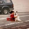 つち
