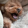 涼