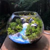 あさこ