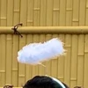 たぶち
