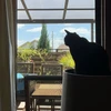 にょぃ