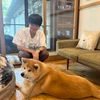 ゆーま