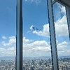 真央