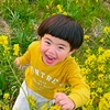 DEppaシクラメン