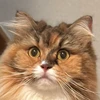 のどぐろ