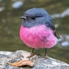 りょう