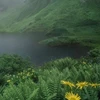 峰