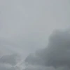 オクジーくん