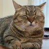 やす
