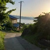おちゃ