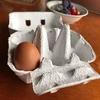 もりもり