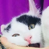 のん