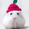 ham