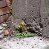 TATSUYAの記録