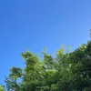 とうきび