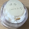 朝採れキムチ
