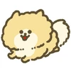 ポメラニアン