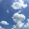 青空教室