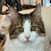 Kay