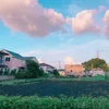 玉川