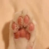 こんぶ