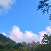 白石