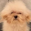 itsumo_nemuina