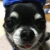きうら