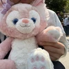 自我強めのぬいぐるみ