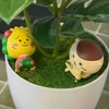 はっぴー