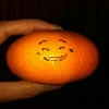 vivaorange
