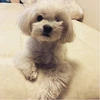 アリ子