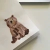 rico