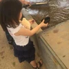 ななぽん