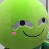 HarukaIchimura